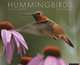 Hummingbirds 2013 Wall Calendar, Willow Creek Press 