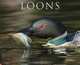 Loons 2013 Wall Calendar, Willow Creek Press 