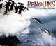 Penguins 2013 Wall Calendars, Willow Creek Press 