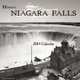 Historic Niagara Falls 2014 Calendar, 
