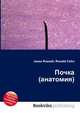 Почка (анатомия), Джесси Рассел 
