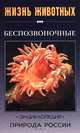 Беспозвоночные, Волцит О. В., Черняховский М. Е. 