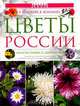 Цветы России. Однолетники и двулетники, В. Шайкин, В. Володин 