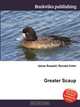 Greater Scaup, Jesse Russel 
