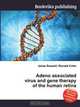 Adeno associated virus and gene therapy of the human retina, Jesse Russel 