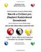 Drills & Exercises to Improve Billiard Skills (Czech): How to become an expert billiards player (Czech Edition), Allan P. Sand 