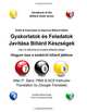 Drills & Exercises to Improve Billiard Skills (Hungarian): How to become an expert billiards player (Hungarian Edition), Allan P. Sand 