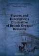 Figures and Descriptions Illustrative of British Organic Remains, John William Salter 