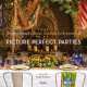 Picture Perfect Parties, Annette Joseph 