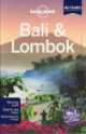 Bali and Lombok 2013, Ryan ver Berkmoes, Adam Skolnick 