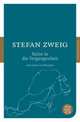 Die Reise in die Vergangenheit und andere Erzahlungen, Стефан Цвейг, Stefan Zweig 