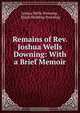 Remains of Rev. Joshua Wells Downing: With a Brief Memoir, Joshua Wells Downing 
