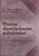 Plantae dicotyledoniae polypetalae, Tokutaro Ito 