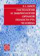Гистология и эмбриология органов полости рта человека: Учебное пособие. 6-е изд, Быков Владимир Лазаревич 
