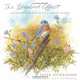 The Bluebird Effect: Uncommon Bonds with Common Birds, Julie Zickefoose 
