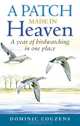 A Patch Made in Heaven: A Year of Birdwatching in One Place, Dominic Couzens 