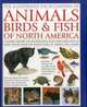 Animals, Birds & Fish of North America, the Illustrated Encyclopedia of: A Natural History and Identification Guide to the Captivating Indigenous Wildlife of the United States of America and Canada, Tom Jackson 