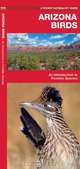 Arizona Birds: An Introduction to Familiar Species (State Nature Guides), James Kavanagh 