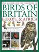 The Illustrated Encyclopedia of Birds of Britain, Europe & Africa: A fine visual guide to over 400 birds inhabiting these continents, David Alderton 