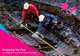 Renewing the Past: Unearthing the History of the Olympic Park Site, Andrew B. Powell 