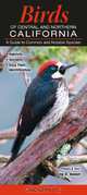Birds of Central and Northern California (Common and Notable Species), Editor 