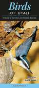 Birds of Utah (Common and Notable Species), Quick Reference Guides 