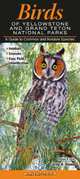 Birds of Yellowstone & Grand Teton National Parks: A Guide to Common and Notable Species, Homel, Greg R. 