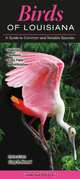 Birds of Louisiana, Editor 
