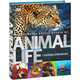 Illustrated Encyclopedia of Animal Life, Charlotte Uhlenbroek 