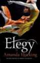 Elegy, Amanda Hocking 