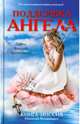 Поддержка ангела. Книга-миссия, Николай Романович 
