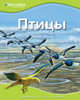 Птицы. Discovery Education, 