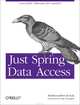 Just Spring Data Access, Konda 