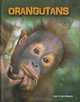 Orangutans (Heinemann Infosearch), Buffy Silverman 
