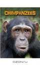 Chimpanzees (Heinemann Infosearch: Living in the Wild: Primates), Heidi Moore 