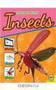 Insects with Code (Learn to Draw (Weigl Paperback)), 