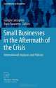 Small Businesses in the Aftermath of the Crisis: International Analyses and Policies (Contributions to Economics), 