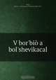 V bor