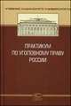Практикум по уголовному праву России. Практикум. Гриф УМО МО РФ, Сундуров Ф.Р. 