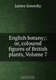 English botany;: or, coloured figures of British plants, Volume 7, James Sowerby 