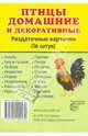 Демонстрационные картинки СУПЕР Птицы домашние и декоративные.16 раздаточных карточек с текстом(63х87мм), 