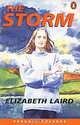 The Storm: Level 2, Elizabeth Laird 