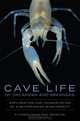 Cave Life of Oklahoma and Arkansas: Exploration and Conservation of Subterranean Biodiversity (Animal Natural History Series), G.O. Graening, Dante B. Fenolio, Michael E. Slay 