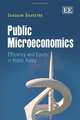 Public Microeconomics: Efficiency and Equity in Public Policy, Joaquim Silvestre 