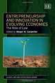 Entrepreneurship and Innovation in Evolving Economies: The Role of Law (Elgar Law and Entrepreneurship series), Megan M. Carpenter 