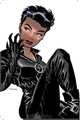 Catwoman Vol. 1: Trail of the Catwoman, Darwyn Cooke, Ed Brubaker 