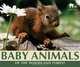 Baby Animals of the Woodland Forest (Nature