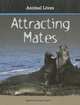 Attracting Mates (Animal Lives), Kimberley Jane Pryor 