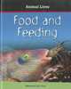 Food and Feeding (Animal Lives), Kimberley Jane Pryor 