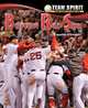 The Boston Red Sox (Team Spirit), Mark Stewart 